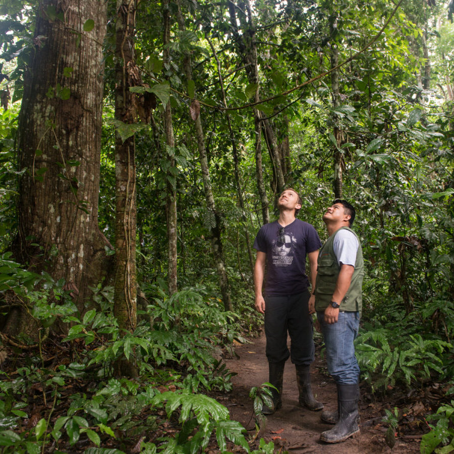 Sarah Duff Madidi Bolivia